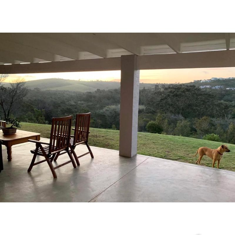 Cementek Floor Andrew 800