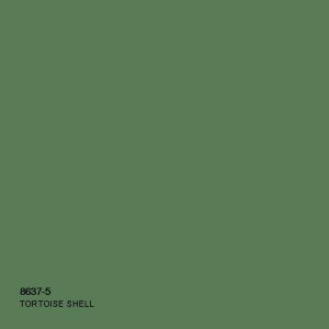 Tortoise Shell 8637-5 (Colourant for 1lt) ADD CLEAR BASE