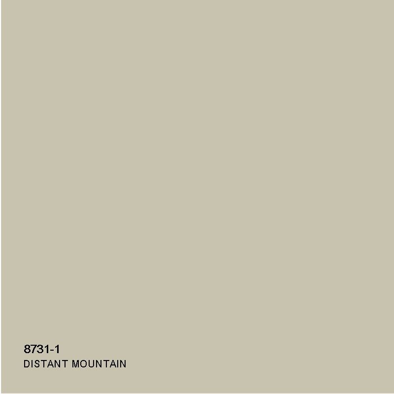 8731-1.jpg