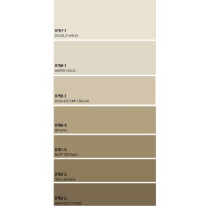 A6 Paint Colour Card Swatch 240mm x 50mm (7 Colours)