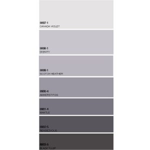 F4 Paint Colour Card Swatch 240mm x 50mm (7 Colours)