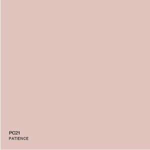 Patience Pristina (Matt Pure Acrylic Topcoat) 1Lt